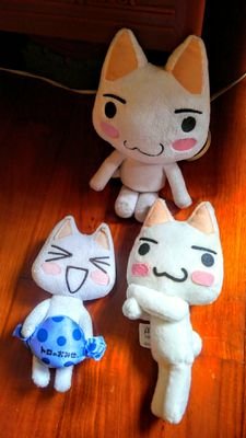 ゆうこさんのプロフィール画像
