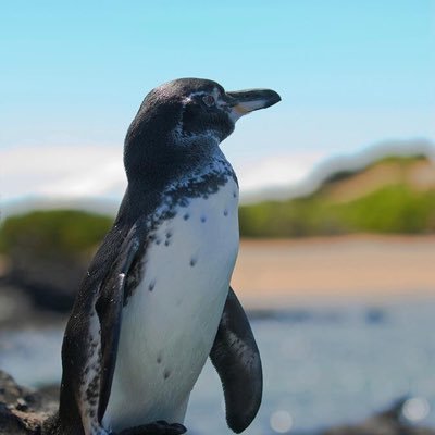 DontHateMate99's profile picture. Trying to start productive conversations about things I care about.