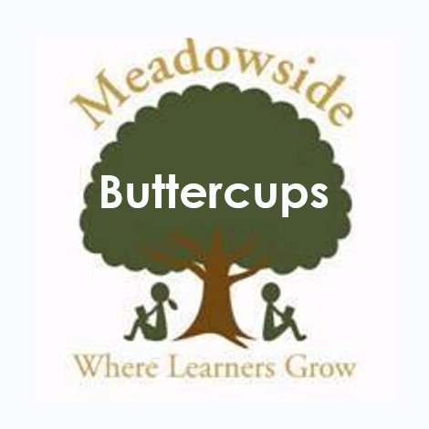 Meadowside.Buttercups
