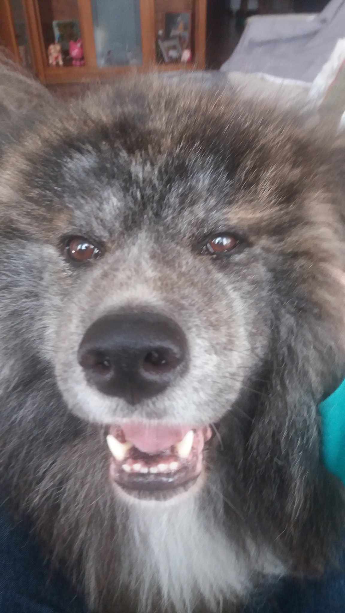 langone50's profile picture. 