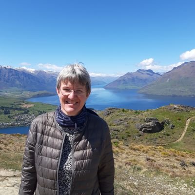 Prof Irene Petersen Profile