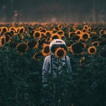 🌂Hora de llenar esta red social con mis pensamientos estúpidos.
☔️