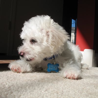 PaulCiura's profile picture. F3, DIY, Woodworking.