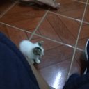 Aiden George - @AidenGeorge14 - Twitter