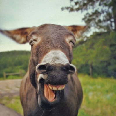 Ralphjjy's profile picture. Hi