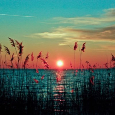 Dolores91104385's profile picture. 