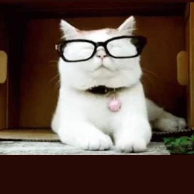 gatosabe_2019's profile picture. Buscando la verdad sin apasionamiento y sin prejuicios