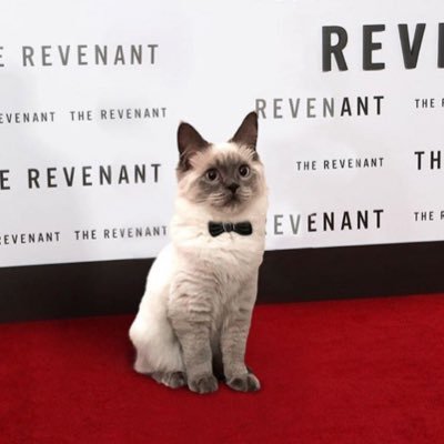 YoCo_mi's profile picture. 