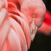 Amme (@emmatopacio52) 's Twitter Profile Photo Amme (@emmatopacio52) 's Twitter Profile Photo