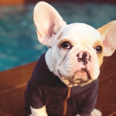 kewlew's profile picture. 