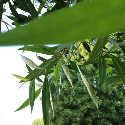 12Aljumairi's profile picture. #T1D 💙