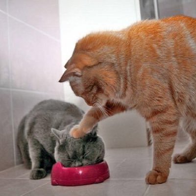 gailvlun_'s profile picture. 