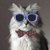 Bogdan Popa (@bgdftw) Twitter profile photo Bogdan Popa (@bgdftw) Twitter profile photo