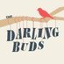 The Darling Buds (@theedarlingbuds) Twitter profile photo