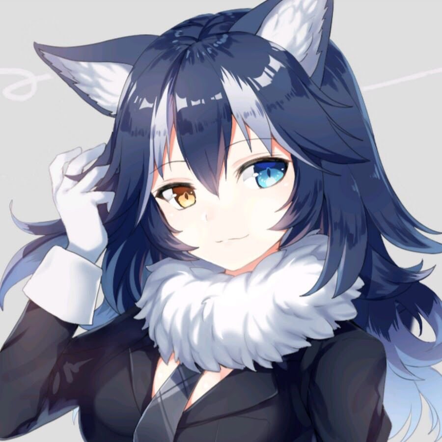 Hello👋 I'm Grey Wolf and thanks for seeing my bio i play VR_CHAT Overwatch CS:GO and more games  i love all games and i love the people that play them too❤️