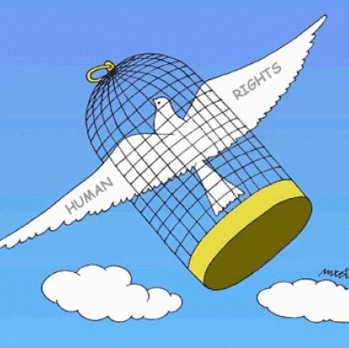 jovicien's profile picture. 