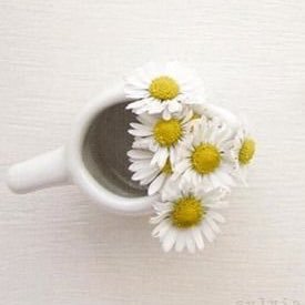 bushraayed11's profile picture. Rph @ Ministry of National Guard Health Affairs , King Abdulaziz Medical City, Jeddah , ASHP-Pharmacy Informatics, ISMP/ASHP-Medication safety