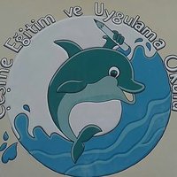 Çeşme Özel Eğitim Uygulama Okulu (@cesmeozel) 's Twitter Profile