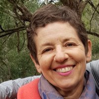 Frances Rapport (@frapport) 's Twitter Profile