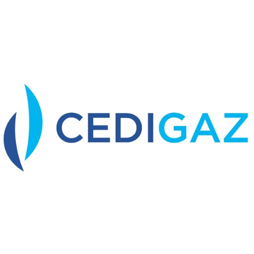 Cedigaz_SG Profile Picture