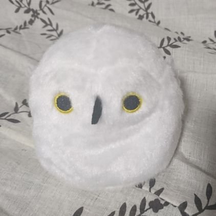 梟(ふくろう)さんのプロフィール画像