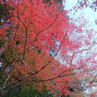 マニ(  ˙-˙  ) (@memjqghu1mxutc4) 's Twitter Profile