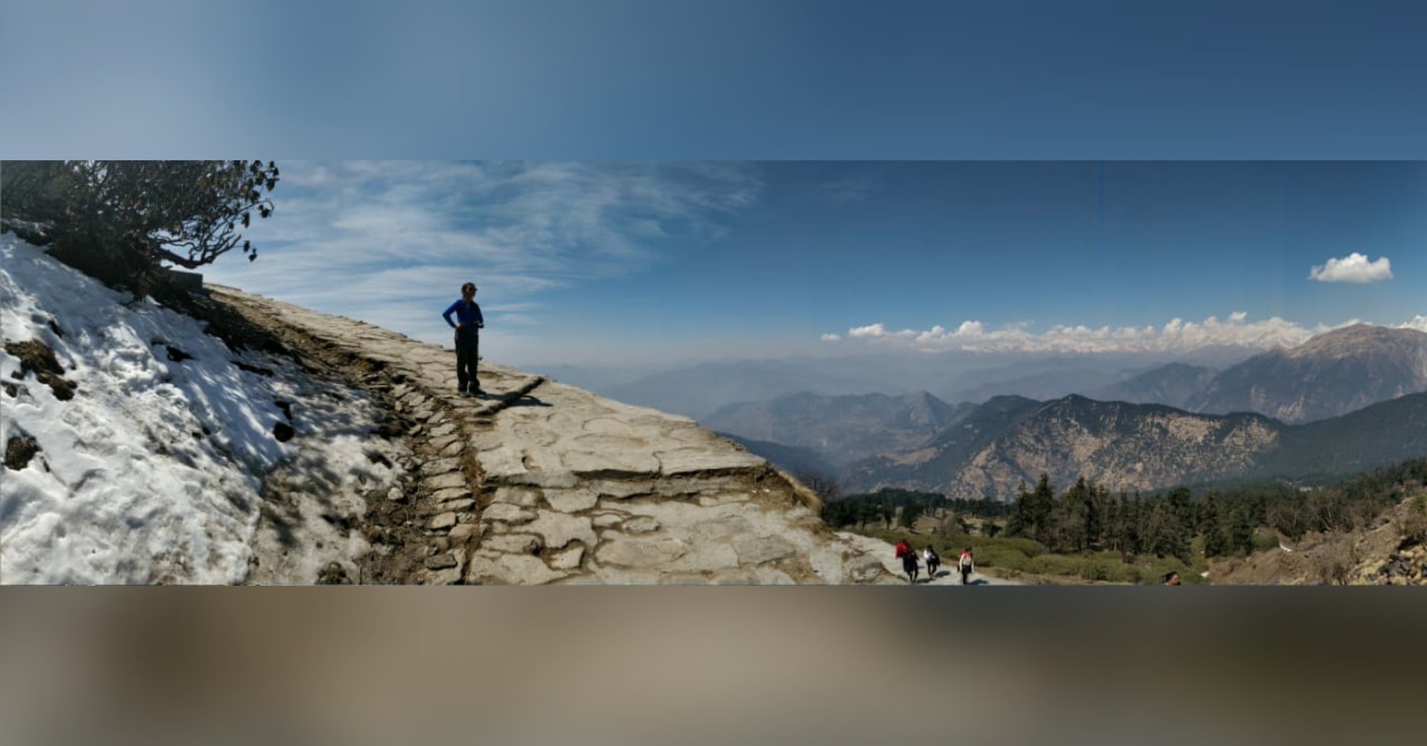 Shruti_Vats's profile picture. Economist| thinker|cat lover| fighter| Condemn child labour!