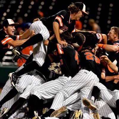 Sam Houston Baseball Recruiting