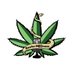 reefermedness (@reefermedness) Twitter profile photo reefermedness (@reefermedness) Twitter profile photo