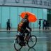 Robin Mellors-Bourne (@headofweather) Twitter profile photo