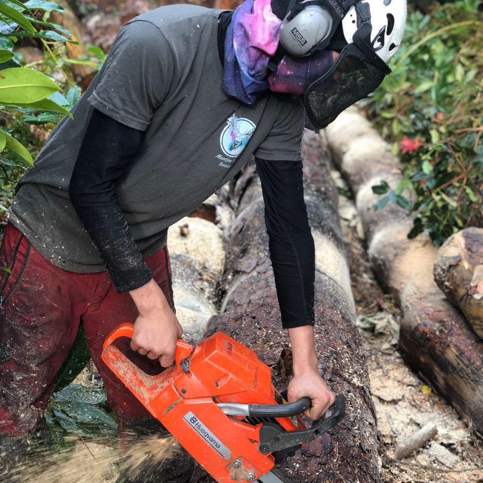 Small tree service business based in woking. I work all over Surrey and the surrounding area, fully qualified and throughly love what I do.