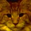 CatKruga's profile picture. The lord of the magic tower. Kruga.