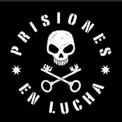 lvaro21530267's profile picture. 