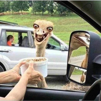 danny37536256's profile picture. Gaming Movies Call of Duty Formula 1 Music Comedy Food UK Top 40 UK Gaming YouTube eSports News