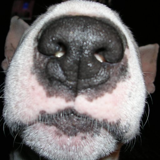 Pickmans_Modell's profile picture. "Your body is not a temple, it's an amusement park. Enjoy the ride." - Anthony Michael Bourdain