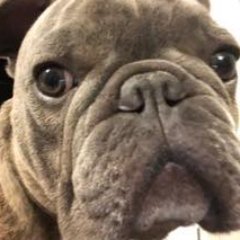 brianbroadwayc1's profile picture. 
