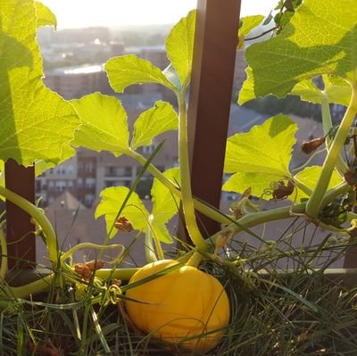 Andrew Hennenfent Profile