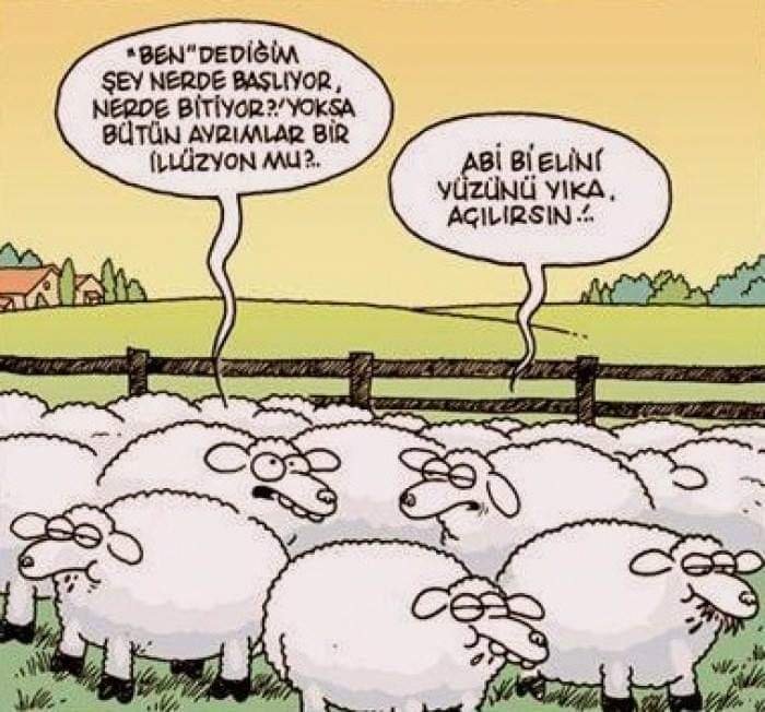 🇹🇷