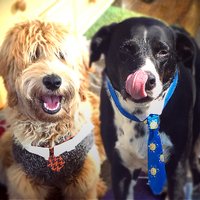 Research Labs (@labs_research) 's Twitter Profile