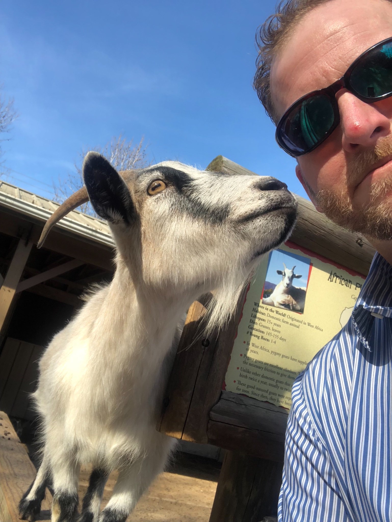 ScottyS77's profile picture. 