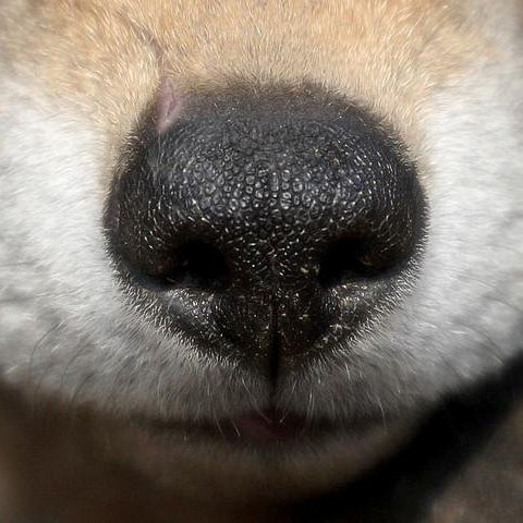 The_JRod's profile picture. 