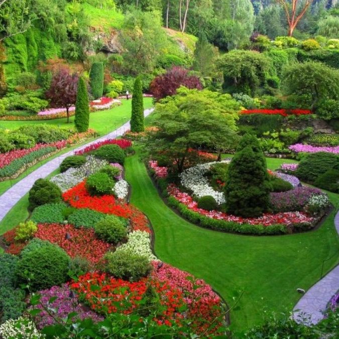En Los Jardines de Laura encontrarás todo tipo de información sobre fauna y flora subiendo contenidos diariamente para estar siempre informados.
