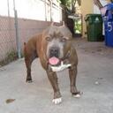 Pedro Cueva - @pcueva - Twitter