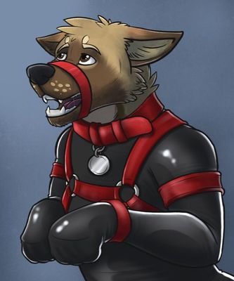 Shep with a naughty side/18+ only!/love big guys and I cannot lie/gay/sub/single/open DMs, a little shy sometimes.

https://t.co/O4uWlEiLEL