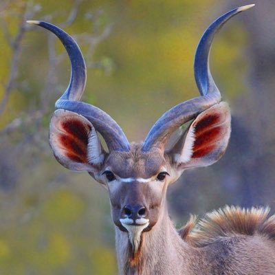 LkvwC's profile picture. 