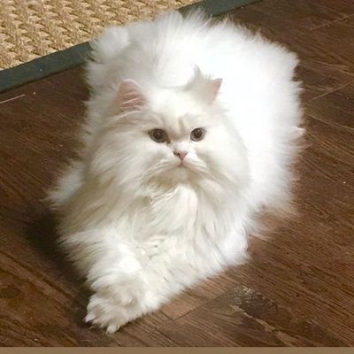 swathishiva1797's profile picture. 