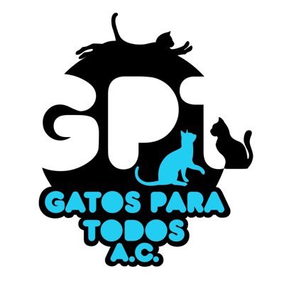 Instagram oficial de la Asociación Civil Gatos Para Todos A.C. ubicada en la ciudad de Tepic, Nayarit, MX.