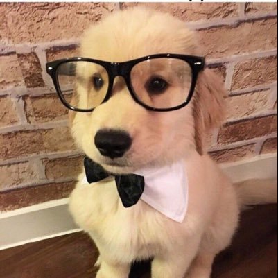 SXCTRIVN's profile picture. 