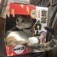 朝木@ 無言F◎ (@asan0alber9) 's Twitter Profile