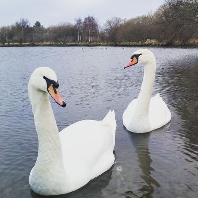 Community group for those who love the Levenhall links and lagoons in Musselburgh (SSSI, SPA, Ramsar). Pushing for Local Nature Reserve status.